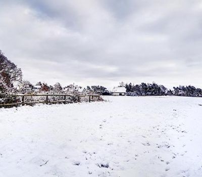 Ortsansicht Born - Winter